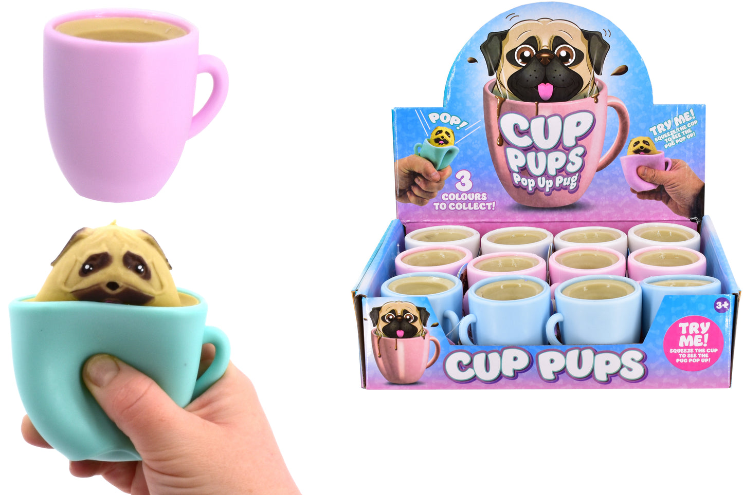 CUP PUPS IN DISPLAY BOX