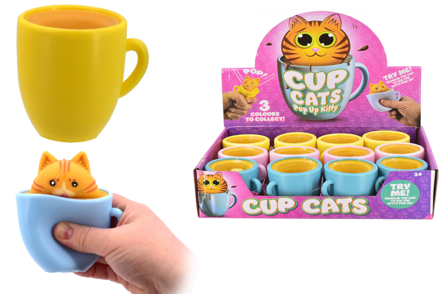 CUP CATS IN DISPLAY BOX