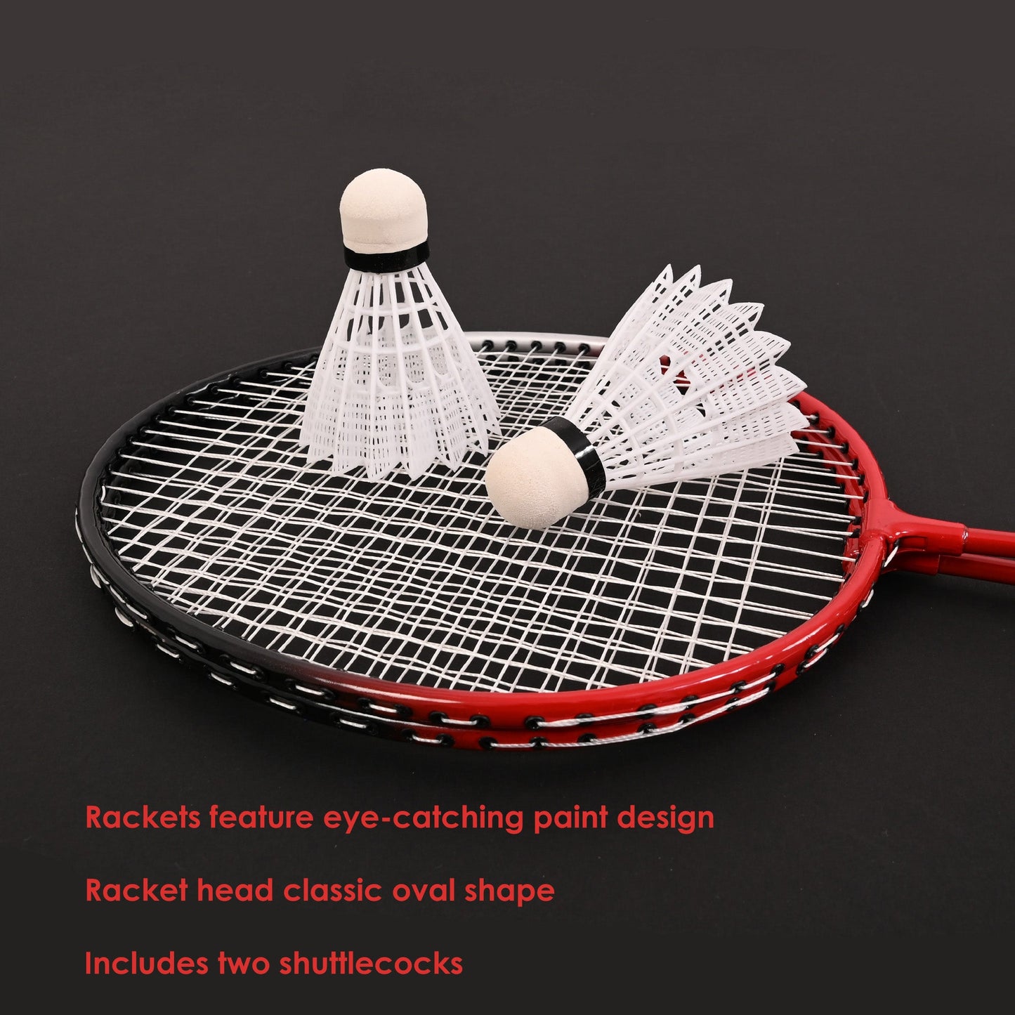 2 Player Badminton Set